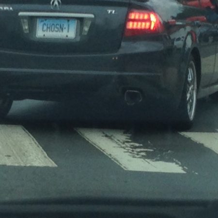 Massive Gallery of CT Vanity Plates