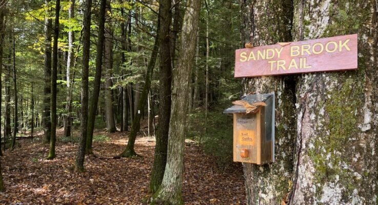 Sandy Brook Trail