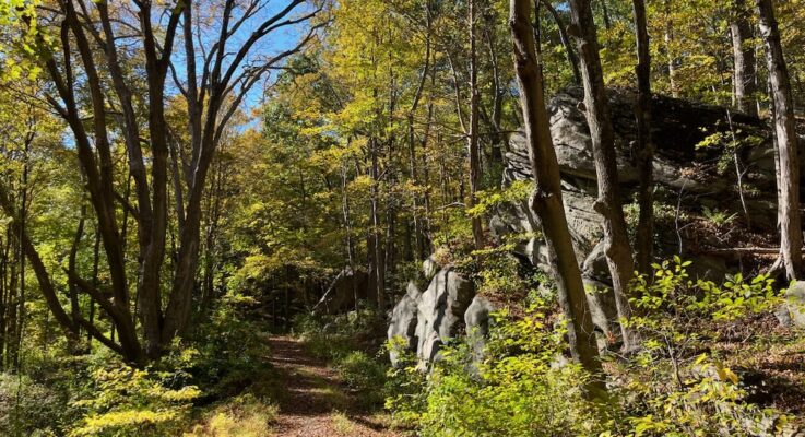 George Dudley Seymour State Park & Higganum Meadows WMA