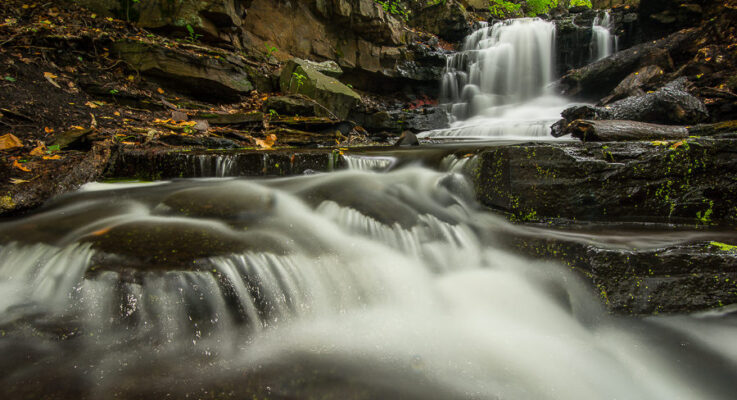 Dividend Pond Falls