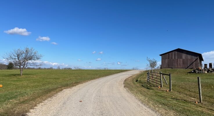 Tree House Farm Trails