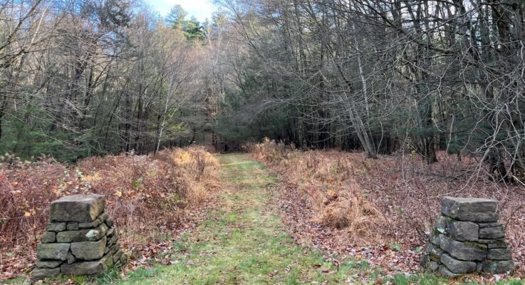 Still Brook Open Space