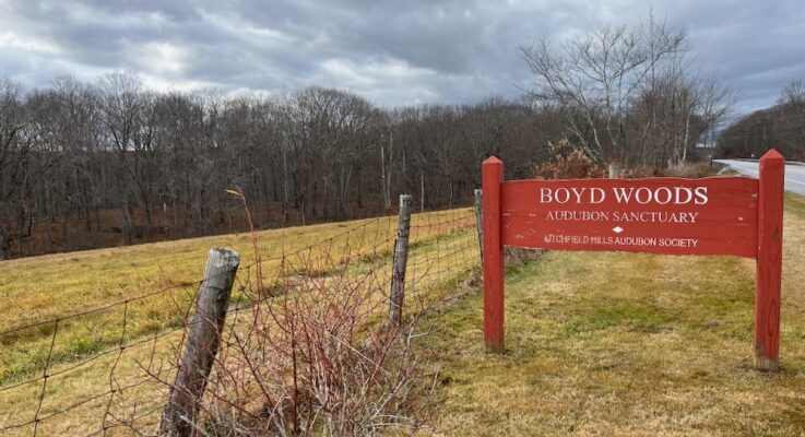 Boyd Woods