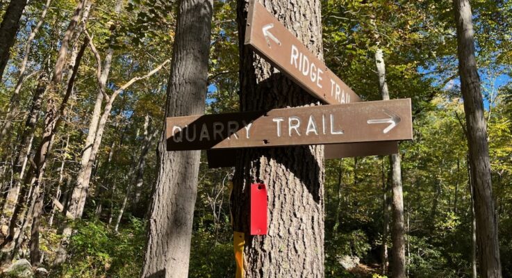 Brainerd Quarry Preserve